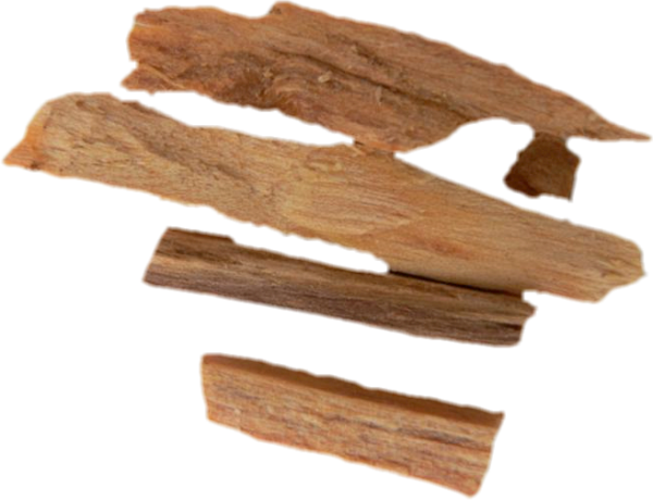 Palo Santo zum räuchern